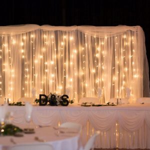 Fairy Light Backdrop